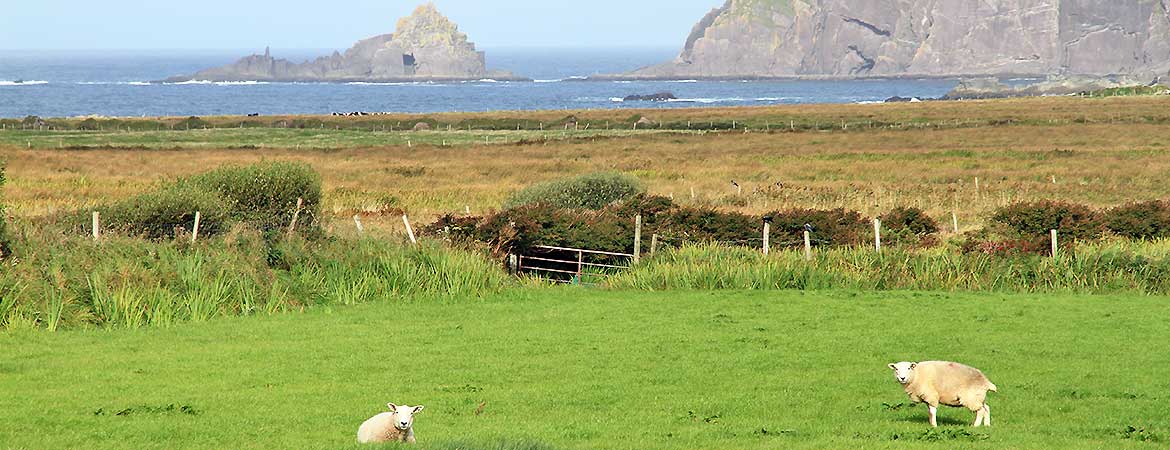 Motorcycle Tours Ireland Motorcycle Tours Ireland